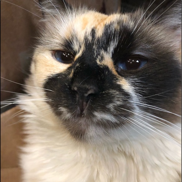 No price is firm❣️ - Picture 9 of 13